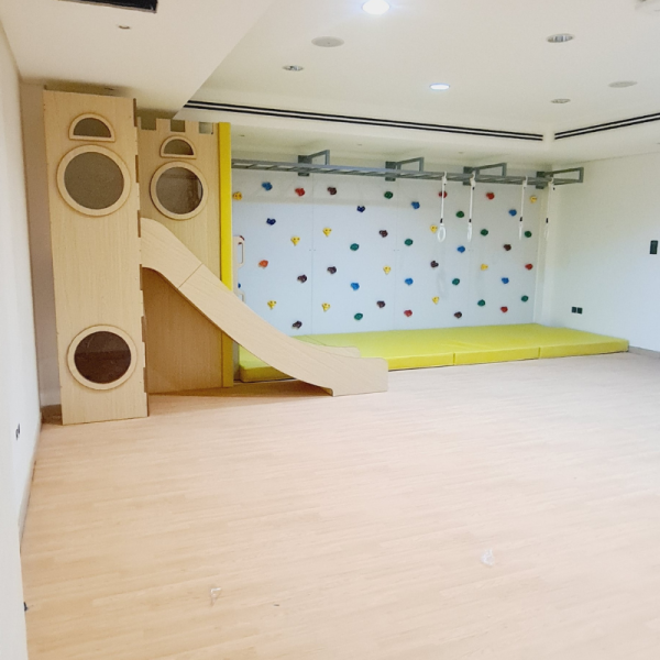 Zein's Climbing Wall Play Structure