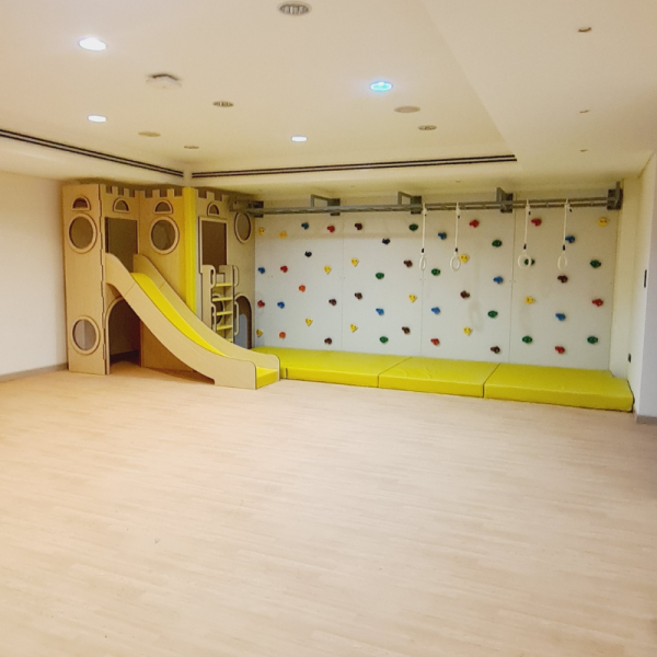 Zein's Climbing Wall Play Structure